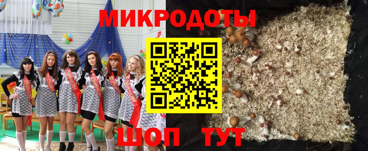 Галлюциногенные грибы мухоморы Рузаевка
